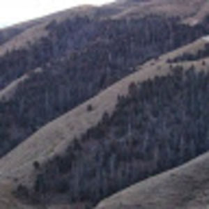 Meet your Posher, Sherab